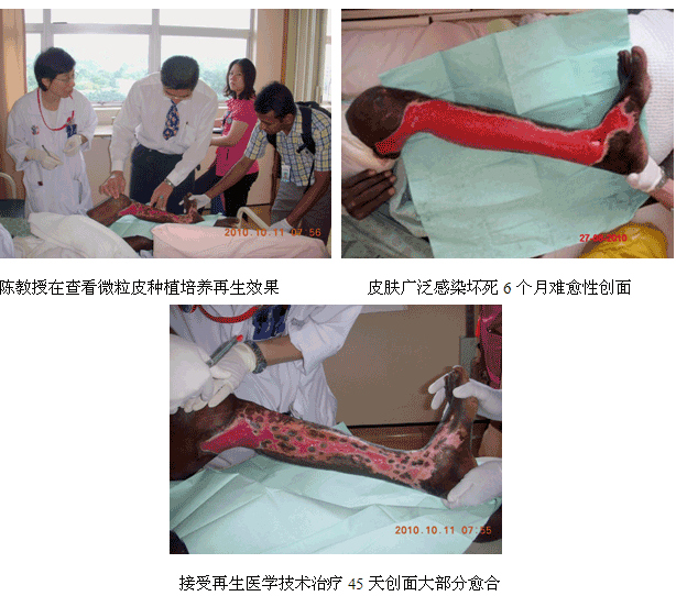 9170金沙集团_学术为龙头医疗为先锋开发维护齐头并进--马来西亚2010年第三轮医疗开发又有新突破