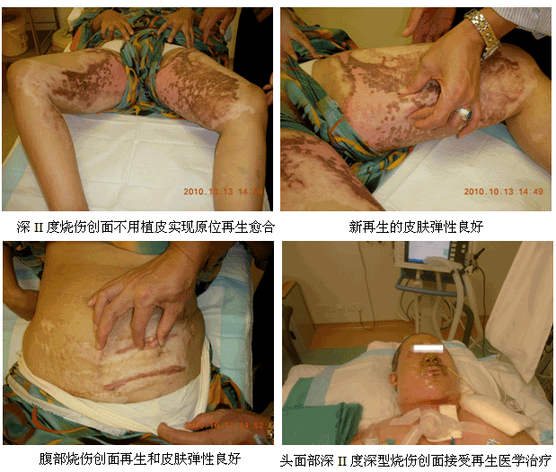 9170金沙集团_学术为龙头医疗为先锋开发维护齐头并进--马来西亚2010年第三轮医疗开发又有新突破