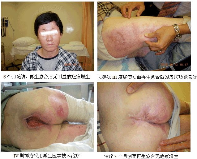 9170金沙集团_学术为龙头医疗为先锋开发维护齐头并进--马来西亚2010年第三轮医疗开发又有新突破