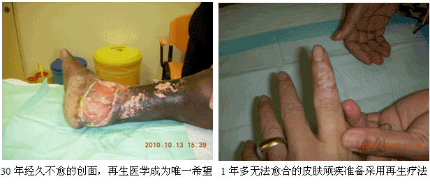 9170金沙集团_学术为龙头医疗为先锋开发维护齐头并进--马来西亚2010年第三轮医疗开发又有新突破