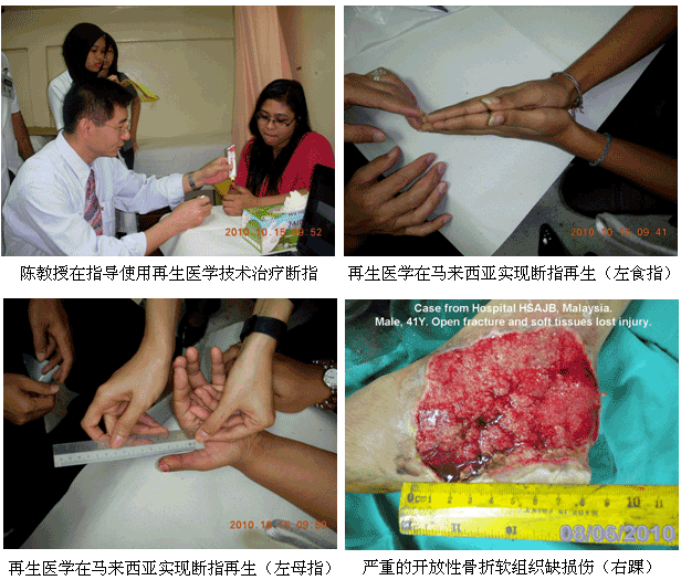 9170金沙集团_学术为龙头医疗为先锋开发维护齐头并进--马来西亚2010年第三轮医疗开发又有新突破