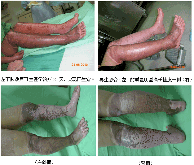 9170金沙集团_学术为龙头医疗为先锋开发维护齐头并进--马来西亚2010年第三轮医疗开发又有新突破