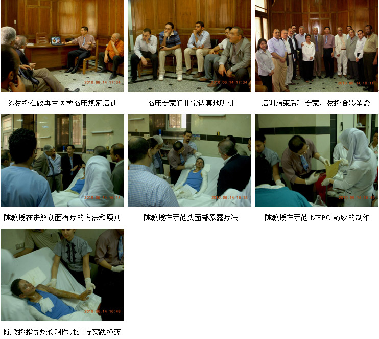 9170金沙集团_里程碑意义的埃及医疗开发