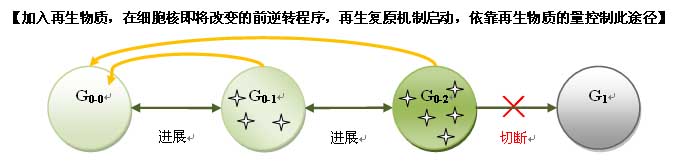 9170金沙集团_人体再生回复科学养生的生命机理
