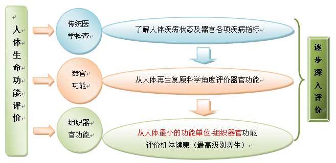 9170金沙集团_人体再生回复科学养生的生命机理