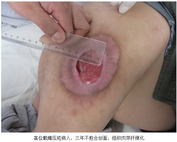 9170金沙(第一娱乐)娱城官网入口