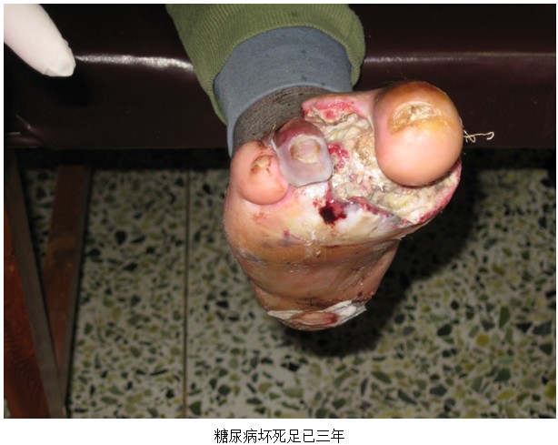 9170金沙(第一娱乐)娱城官网入口