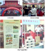 9170金沙集团_知心夏日、魅力营销