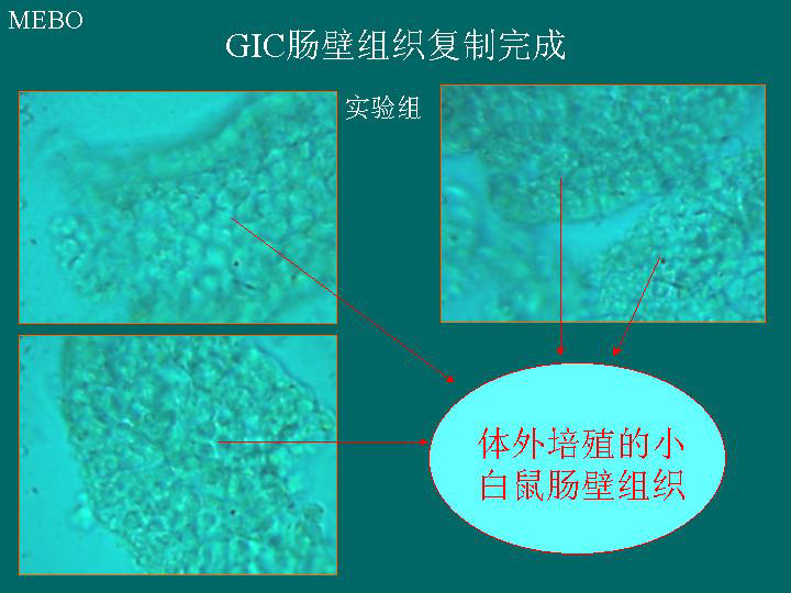 9170金沙(第一娱乐)娱城官网入口