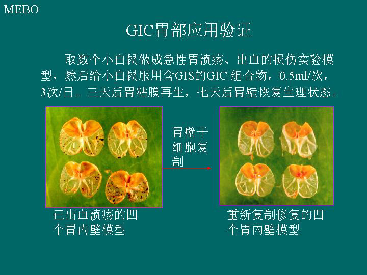 9170金沙(第一娱乐)娱城官网入口