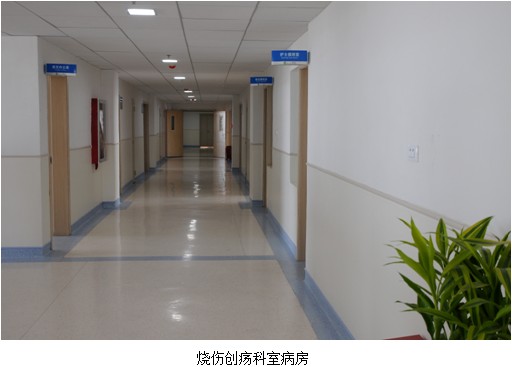 9170金沙(第一娱乐)娱城官网入口