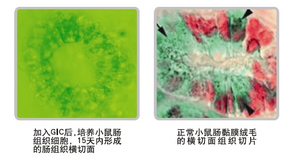 9170金沙(第一娱乐)娱城官网入口