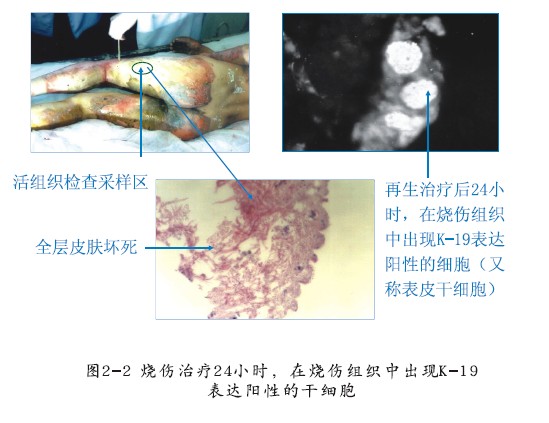 9170金沙(第一娱乐)娱城官网入口