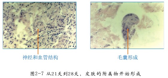 9170金沙(第一娱乐)娱城官网入口