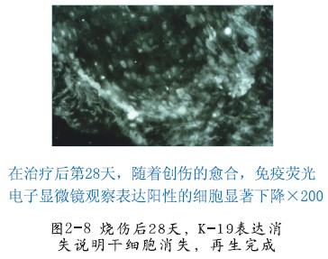 9170金沙(第一娱乐)娱城官网入口