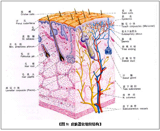 9170金沙(第一娱乐)娱城官网入口