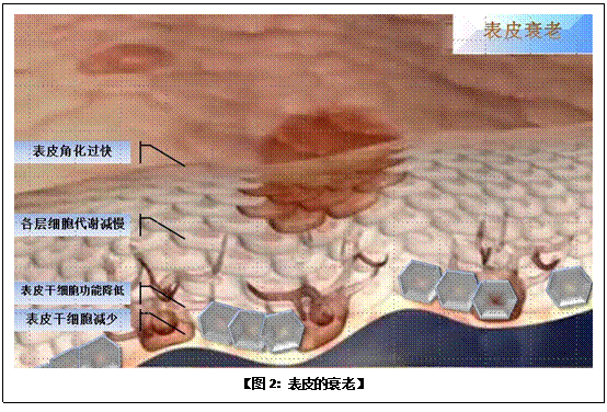 9170金沙(第一娱乐)娱城官网入口
