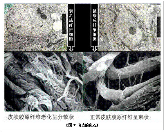 9170金沙(第一娱乐)娱城官网入口