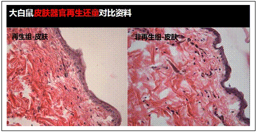 9170金沙(第一娱乐)娱城官网入口