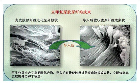 9170金沙(第一娱乐)娱城官网入口