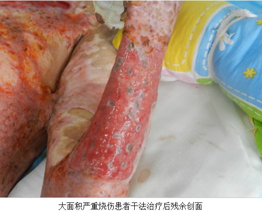 9170金沙(第一娱乐)娱城官网入口
