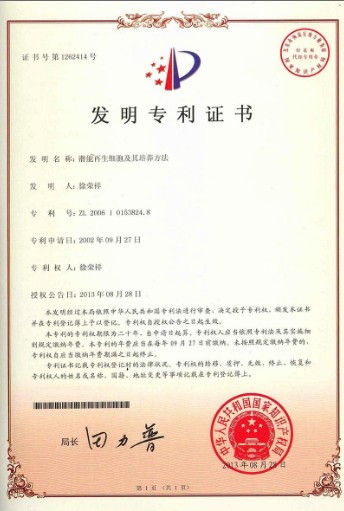 9170金沙(第一娱乐)娱城官网入口
