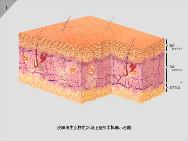 9170金沙(第一娱乐)娱城官网入口