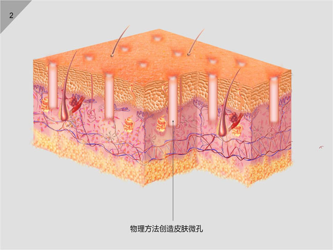 9170金沙(第一娱乐)娱城官网入口