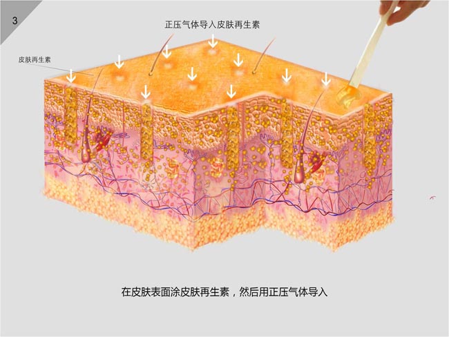 9170金沙(第一娱乐)娱城官网入口