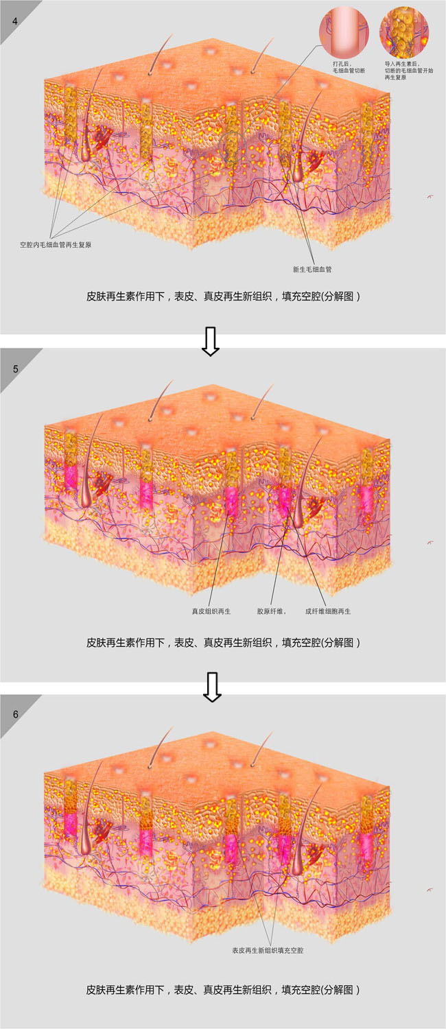 9170金沙(第一娱乐)娱城官网入口