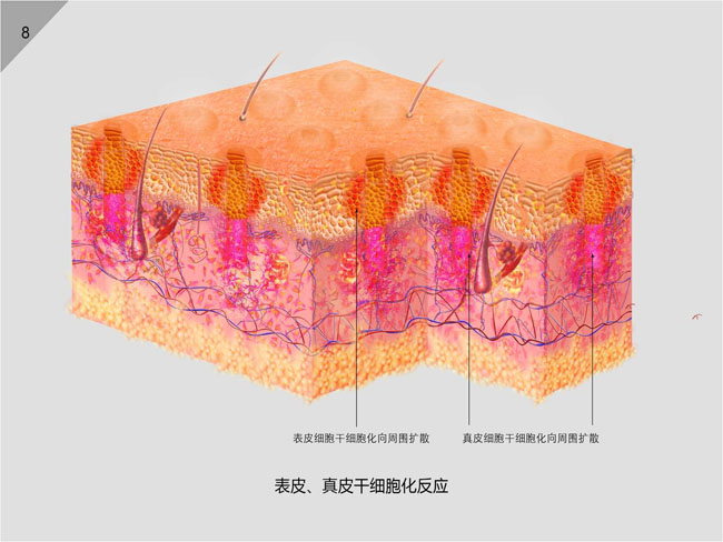 9170金沙(第一娱乐)娱城官网入口