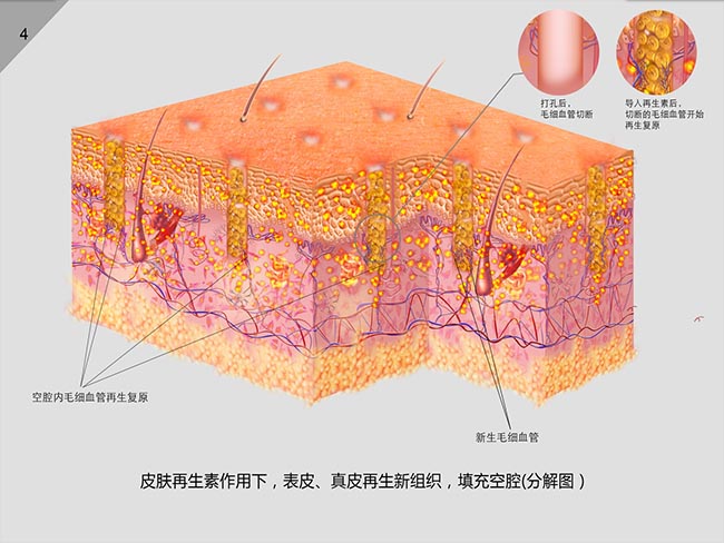 9170金沙(第一娱乐)娱城官网入口