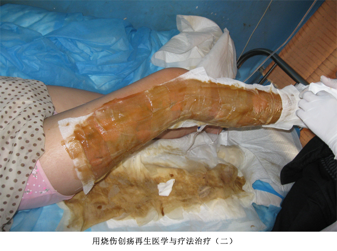 9170金沙(第一娱乐)娱城官网入口