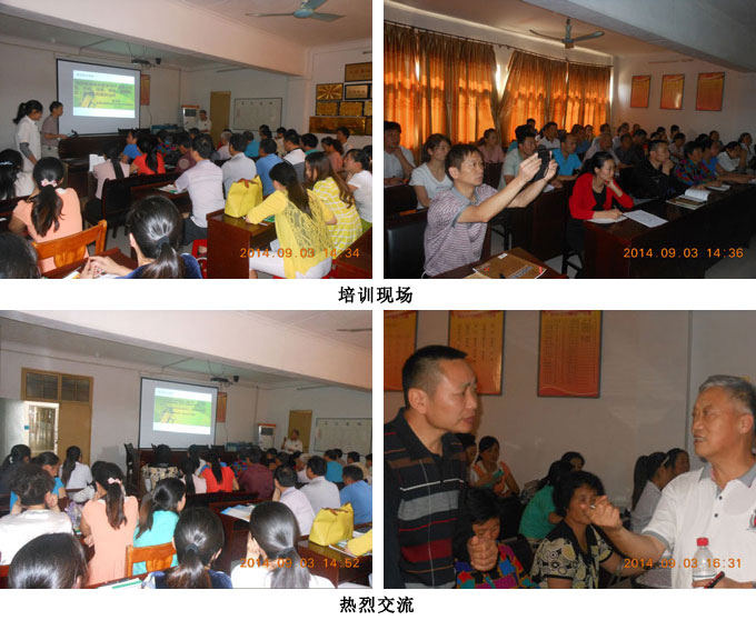 9170金沙(第一娱乐)娱城官网入口