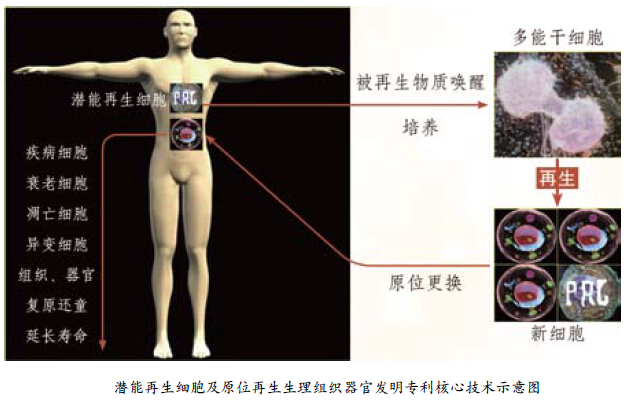 9170金沙(第一娱乐)娱城官网入口