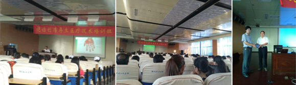 9170金沙(第一娱乐)娱城官网入口