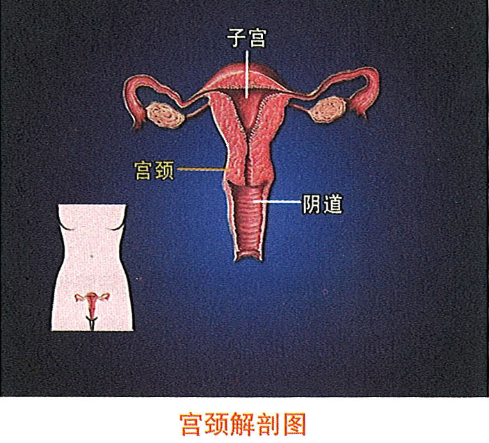 9170金沙(第一娱乐)娱城官网入口