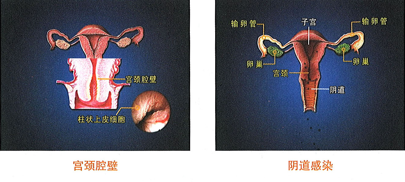 9170金沙(第一娱乐)娱城官网入口