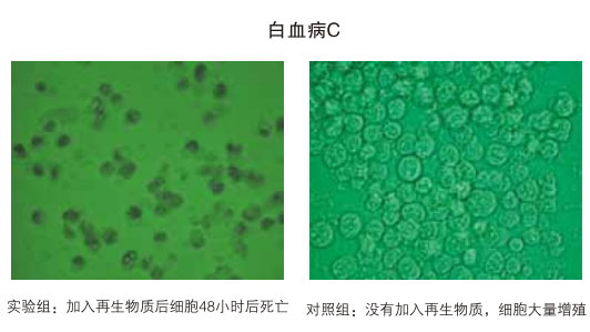 9170金沙集团_八、再生抗癌的研究