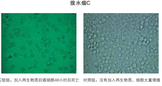 9170金沙集团_八、再生抗癌的研究