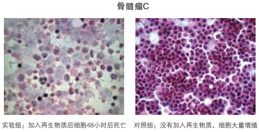 9170金沙集团_八、再生抗癌的研究