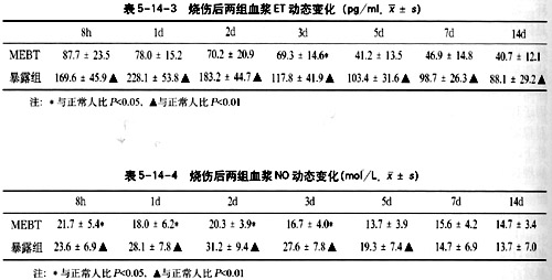 9170金沙集团_烧伤湿性医疗手艺改善烧伤创面瘀滞区微循环的研究报告（2）