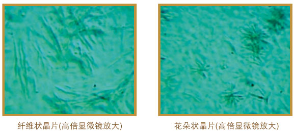 9170金沙集团_四、功效机理研究