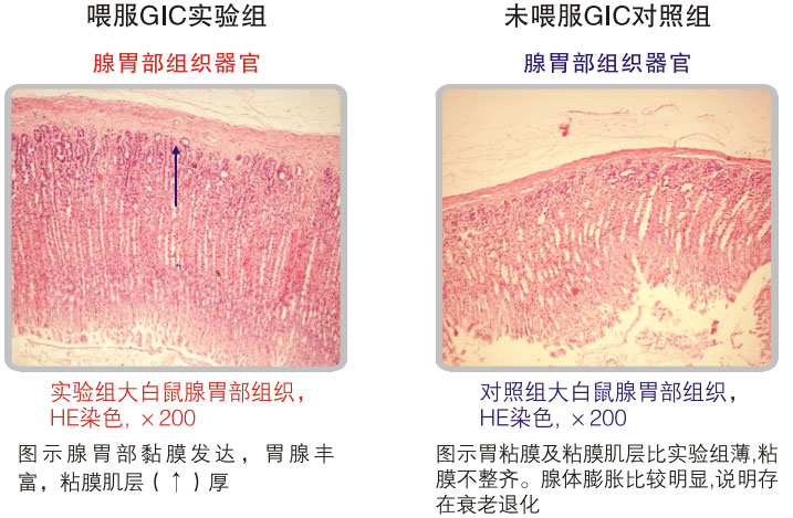 9170金沙集团_五、科学验证