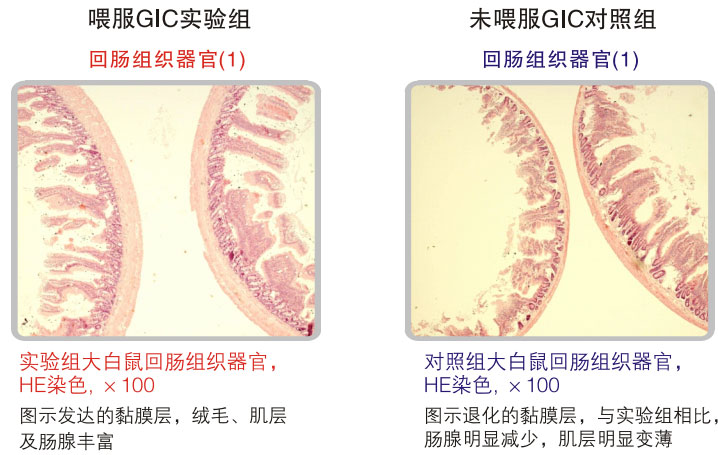 9170金沙集团_五、科学验证