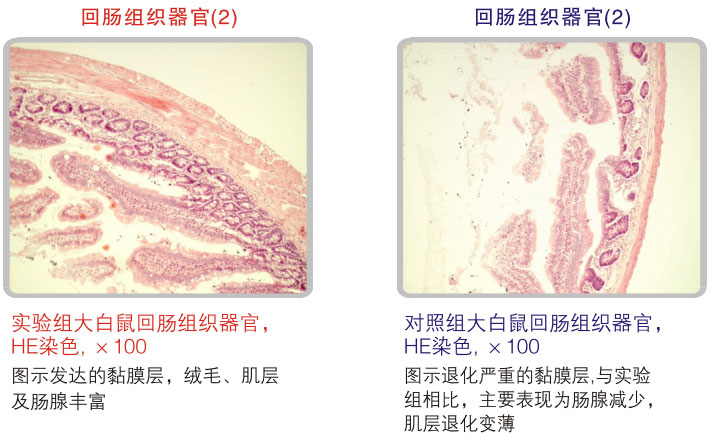 9170金沙集团_五、科学验证