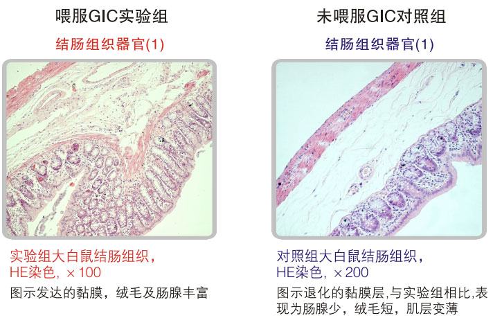 9170金沙集团_五、科学验证