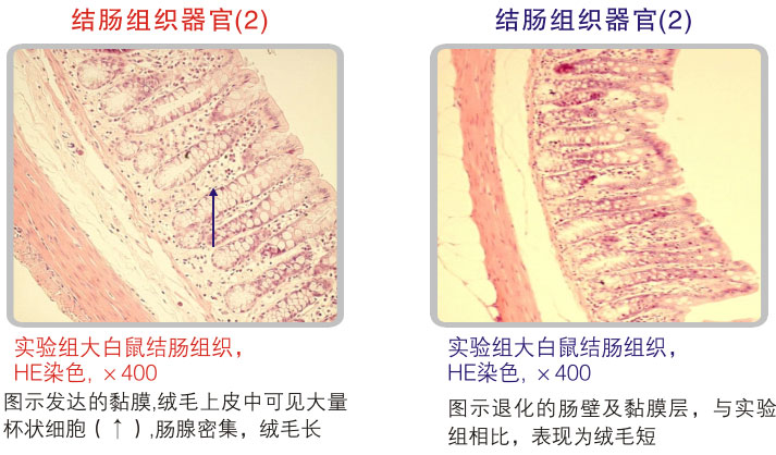 9170金沙集团_五、科学验证