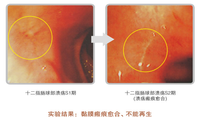 9170金沙集团_五、科学验证