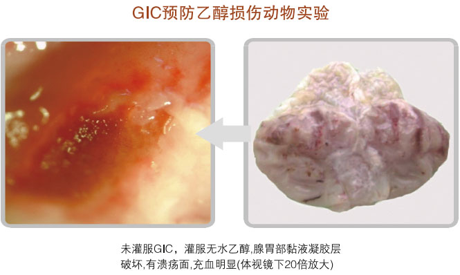 9170金沙集团_五、科学验证